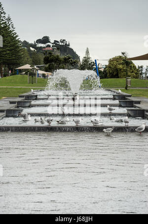 Napier, New Zealand - March 9, 2017: Fountain and cascade at beach park under silver sky. Green vegetation and hill with houses in back. Seagulls and 