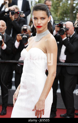 Adriana Lima at the 'Nelyubov / Loveless' premiere during the 70th Cannes Film Festival at the Palais des Festivals on May 18, 2017 in Cannes, France | Verwendung weltweit/picture alliance Stock Photo