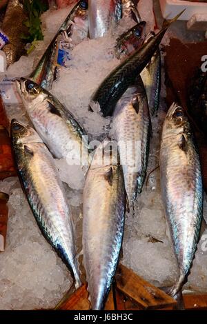 Fresh fish for sale on a market stall along an alleyway in the city centre, Heraklion, Crete, Greece, Europe. Stock Photo