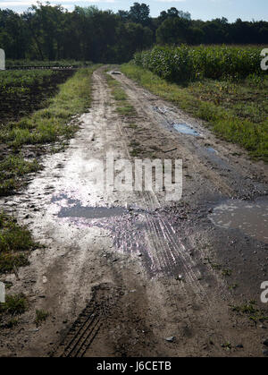 Muddy road in a field near New Paltz, New York, USA.