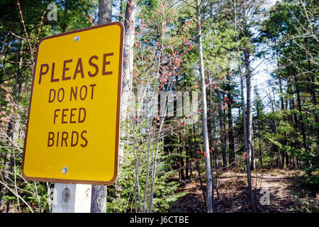 Michigan Upper Peninsula,U.P.,UP,Naubinway,Lake Michigan,northernmost point,conifer forest,northern hardwood,nature,sign,do not feed birds,yellow,MI09 Stock Photo