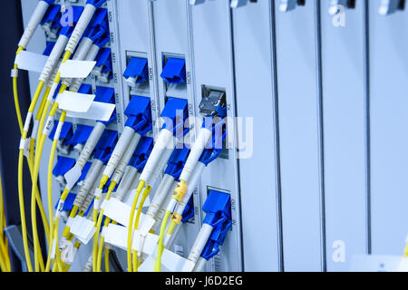 Fiber optic cable connected to card interface of networking switch Stock Photo