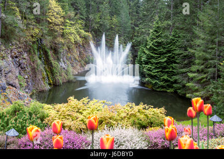 Fountain at Butchart Gardens in Victoria, Canada Stock Photo