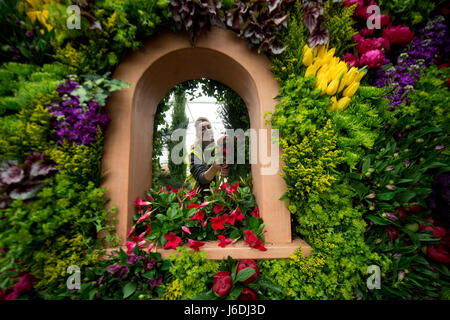 Becky Frost makes the final floral arrangements on the Marks and Spencer display during preparations for the RHS Chelsea Flower Show 2017 at the Royal Hospital Chelsea in London. Stock Photo