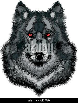 Wild wolf head / Vector illustration of timber wolf Stock Vector