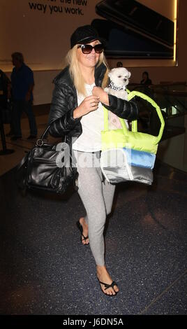 Heather Locklear at Los Angeles International Airport (LAX) with her little dog  Featuring: Heather Locklear Where: Los Angeles, California, United States When: 19 Apr 2017 Credit: WENN.com Stock Photo