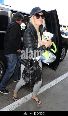 Heather Locklear at Los Angeles International Airport (LAX) with her little dog  Featuring: Heather Locklear Where: Los Angeles, California, United States When: 19 Apr 2017 Credit: WENN.com Stock Photo