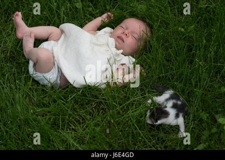 A 4 week year old baby and kitten Stock Photo