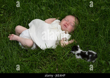 A 4 week year old baby and kitten Stock Photo