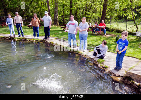 Sevierville Tennessee,Smoky Mountains,English Mountain Trout Farm & Grill,catch,eat,rainbow trout,fishing,boy boys,male kid kids child children youngs Stock Photo