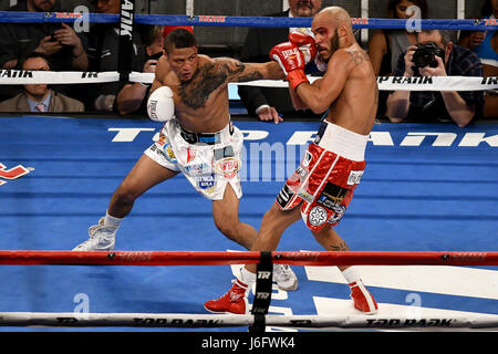 New York, New York, USA. 20th May, 2017. JONATHAN MAICELO (white trunks) and RAY BELTRAN battle in a lightweight bout at Madison Square Garden in New York. Credit: Joel Plummer/ZUMA Wire/Alamy Live News Stock Photo