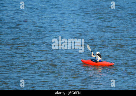 Heidelberg, Germany. 17th May, 2017. A canoeist make her way across the Neckar river in Heidelberg, Germany, 17 May 2017. Photo: Uwe Anspach/dpa/Alamy Live News Stock Photo