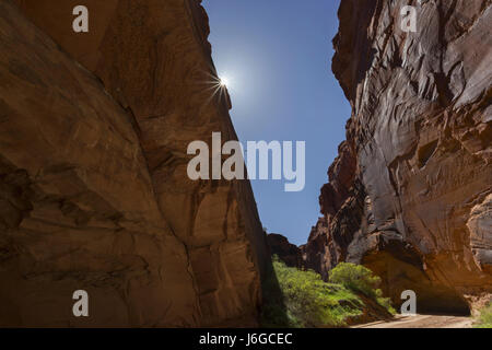 Hiking Buckskin Gulch Slot Canyon in South Utah Stock Photo