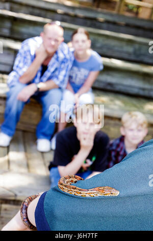 Roanoke Virginia,Mill Mountain Zoo,corn snake,animal trainer,family families parent parents child children,watching,visitors travel traveling tour tou Stock Photo