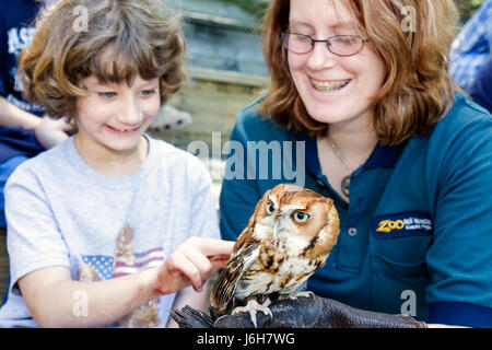 Roanoke Virginia,Mill Mountain Zoo,screech owl,bird birds,animal,trainer,girl girls,youngster youngsters youth youths female kid kids child children,s Stock Photo