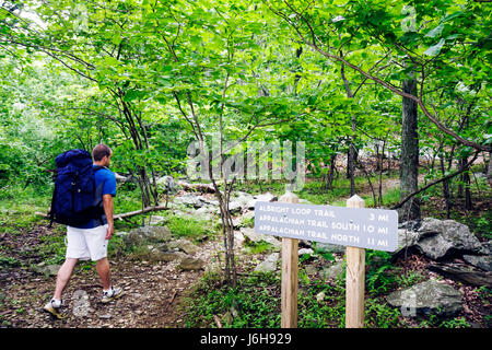 Blue Ridge Parkway Virginia,Appalachian Mountains,Humpback Rocks,Albright Loop Trail,hiking,walking,man men male,backpack,nature,physical activity,sig Stock Photo