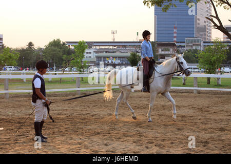 BANGKOK THAILAND - Feb27-unidentified young woman practice to ride a horse in horse riding field  on Feb 17, 2013 in Bangkok, Thailand Stock Photo