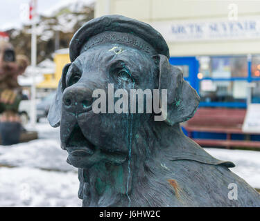 Statue of Bamse, the Saint Bernard that was a heroic mascot of the Free Norwegian Forces during World War II.  Honningsvåg, Norway. Stock Photo