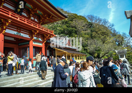 Kamakura at Kanagawa,Japan - March 31,2014: Tsurugaoka Hachimangu Shrine. Stock Photo