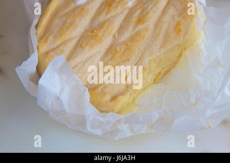 Australian washed rind cheese. Stock Photo