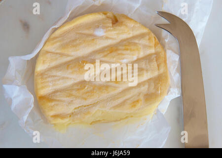 Australian Washed Rind Australian washed rind cheese with a cheese knife Stock Photo - Alamy