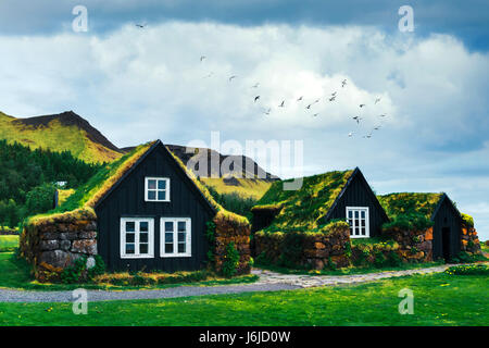 Traditional houses with grass on roof in Iceland Stock Photo