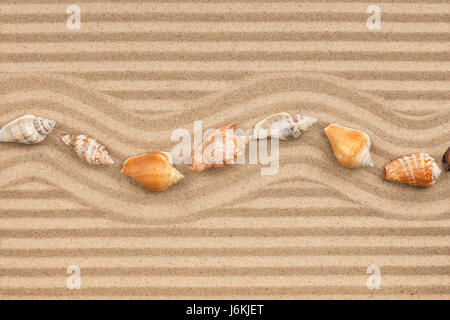 Row of seashell lying on the striped sand, with space for text. View from above Stock Photo