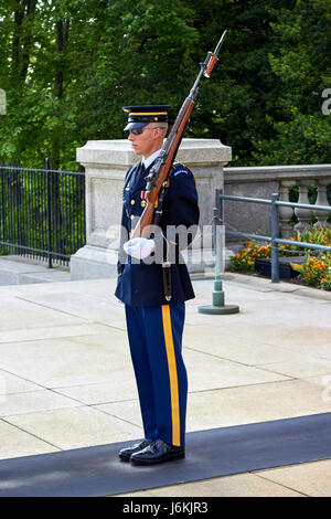 honor guard tomb guard sentinel at the tomb of the unknowns arlington ...