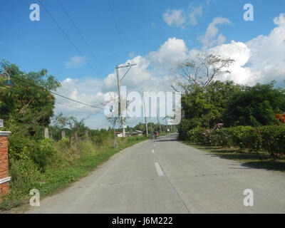 09149 Paddy fields Salapungan Roads Magumbali Candaba Pampanga  01 Stock Photo