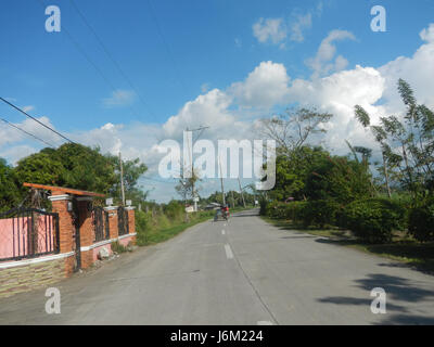 09149 Paddy fields Salapungan Roads Magumbali Candaba Pampanga  02 Stock Photo