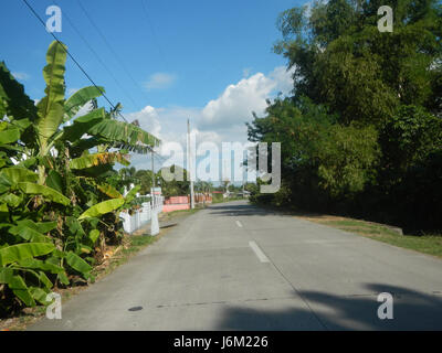 09149 Paddy fields Salapungan Roads Magumbali Candaba Pampanga  05 Stock Photo