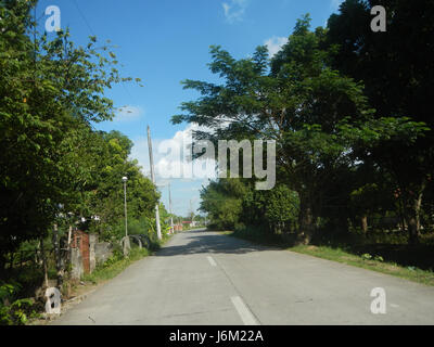 09149 Paddy fields Salapungan Roads Magumbali Candaba Pampanga  07 Stock Photo