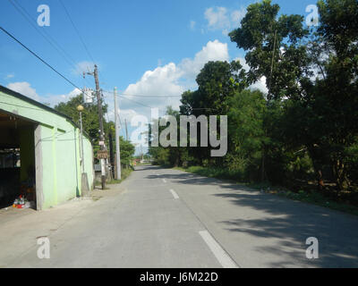 09149 Paddy fields Salapungan Roads Magumbali Candaba Pampanga  10 Stock Photo