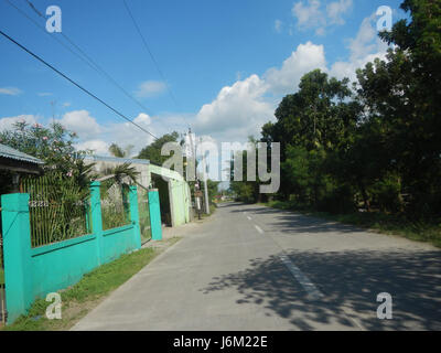 09149 Paddy fields Salapungan Roads Magumbali Candaba Pampanga  11 Stock Photo