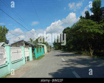 09149 Paddy fields Salapungan Roads Magumbali Candaba Pampanga  12 Stock Photo