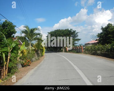 09149 Paddy fields Salapungan Roads Magumbali Candaba Pampanga  14 Stock Photo