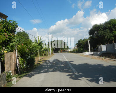 09149 Paddy fields Salapungan Roads Magumbali Candaba Pampanga  17 Stock Photo