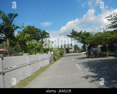 09149 Paddy fields Salapungan Roads Magumbali Candaba Pampanga  19 Stock Photo