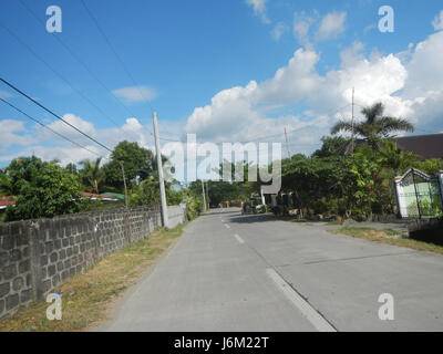 09149 Paddy fields Salapungan Roads Magumbali Candaba Pampanga  20 Stock Photo