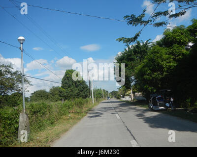 09149 Paddy fields Salapungan Roads Magumbali Candaba Pampanga  24 Stock Photo