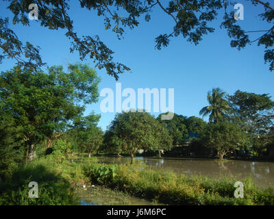 This scene depicts the agricultural landscape of Balucuc, Apalit ...