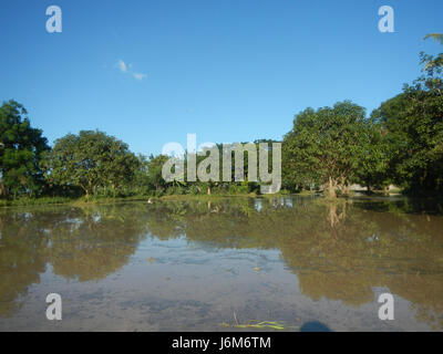 The area surrounding Balucuc in Apalit, Pampanga is known for its ...