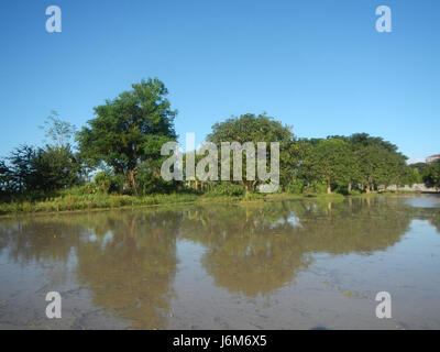 A scene depicting the rural landscape of Balucuc, Apalit, Pampanga ...