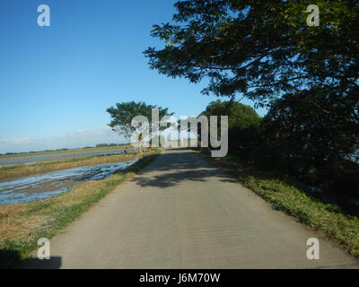 The image depicts farmers in Balucuc, Apalit, Pampanga, plowing paddy ...