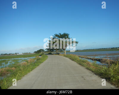The landscape of Balucuc, Apalit in Pampanga showcases paddy fields ...
