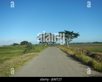 This image depicts the paddy fields of Balucuc in Apalit, Pampanga ...