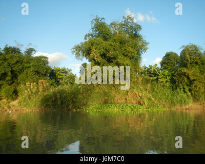 This image captures the riverbanks of Cansinala in Apalit, Pampanga ...