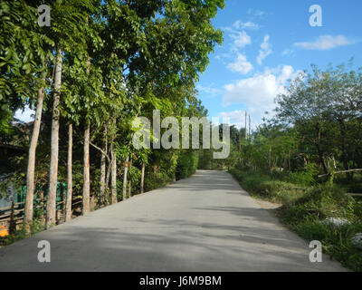 0601 Paddy fields Bagong Silang Ilog-Bulo San Miguel Bulacan Farm Market Road  04 Stock Photo