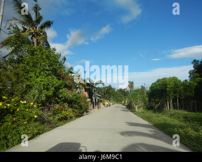 0601 Paddy fields Bagong Silang Ilog-Bulo San Miguel Bulacan Farm Market Road  12 Stock Photo