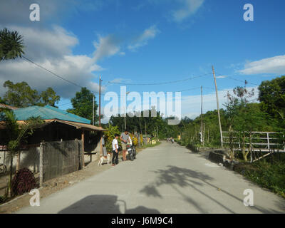 0601 Paddy fields Bagong Silang Ilog-Bulo San Miguel Bulacan Farm Market Road  15 Stock Photo